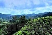 日韩av线-探索日韩AV线，文化、艺术与市场的交织