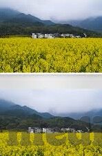 纤纤影视果冻传媒-纤纤影视与果冻传媒,创新与融合的影视新篇章